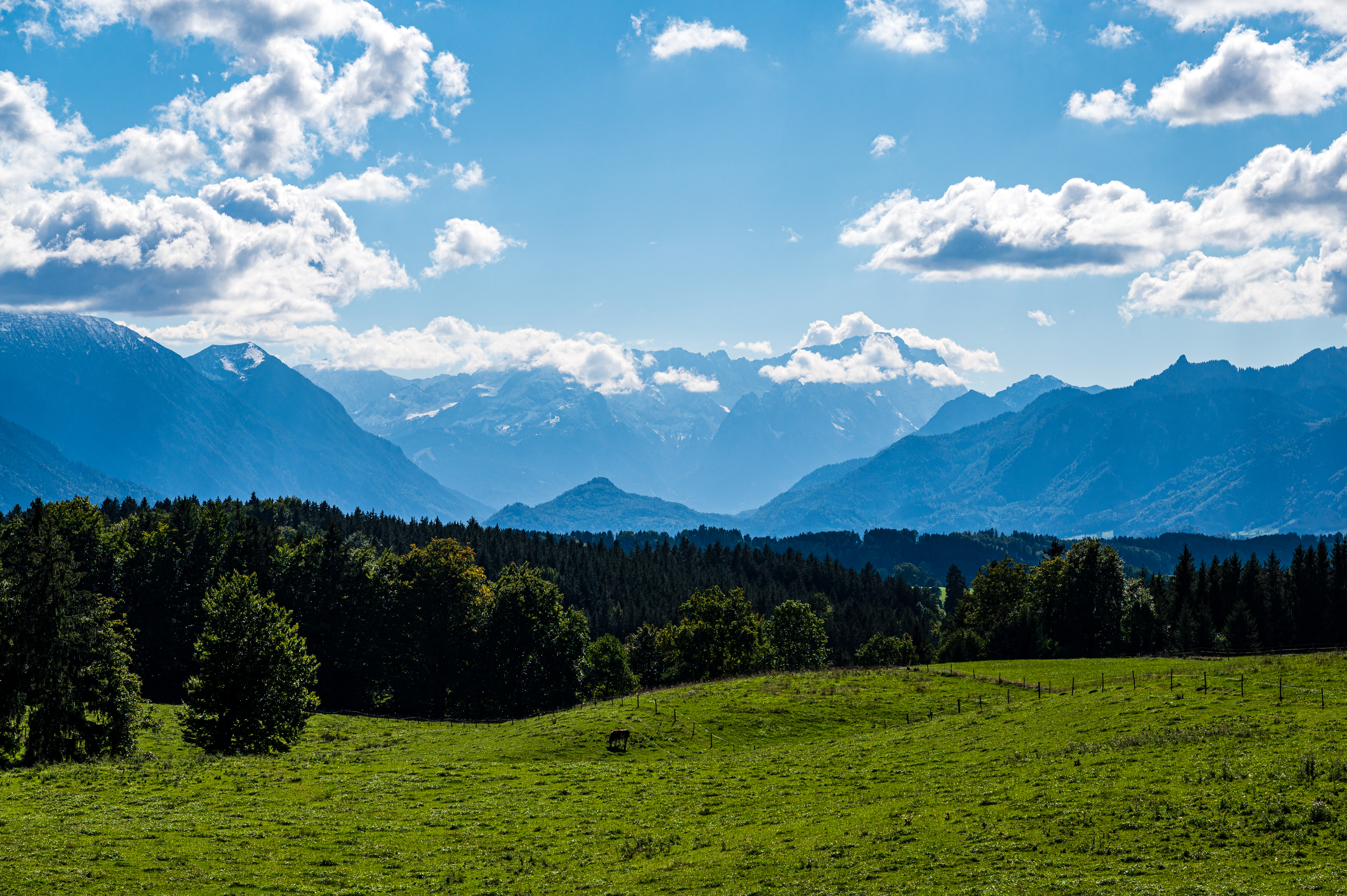 Wanderung Aidlinger Höhe